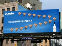 pig_billboard