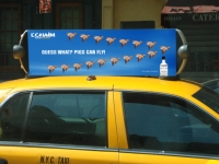 pig_cheers_taxi_ads